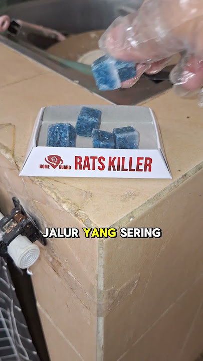 Racun Tikus dari Home Guard Rats Killer #ratskiller #racuntikus #ndiceritain