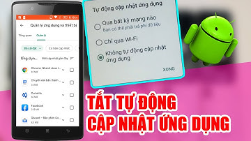Cách tắt tự động cập nhật ứng dụng Android trên CH Play