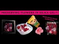 PRESERVING FLOWERS IN SILICA GEL! (Making a home grown floral shadow box.)