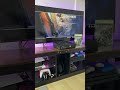 Remember Call of Duty 2? XBOX 360