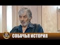 Собачья история - Зал суда. Битва за деньги с Николаем Бурделовым