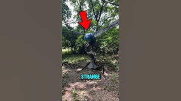 DRAGON FLY 🐉 Under the Microscope! 😱🔬 #dragonfly #microscopediscovery #insects