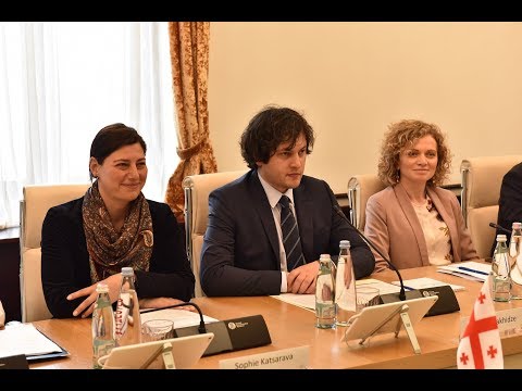 ირაკლი კობახიძის შეხვედრა ჩეხეთის რესპუბლიკის პარლამენტის სენატის ვიცეპრეზიდენტთან