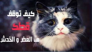 كيف تتوقف القطط عن سلوك الخدش والعض ؟