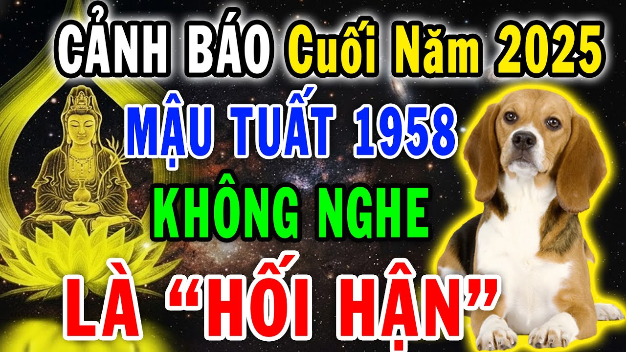 Sự Thật Chấn Động: Mậu Tuất 1958 Cuối Năm 2025 Sẽ Đối Mặt Với 3 Biến Động Lớn, Không Xem Rất Phí