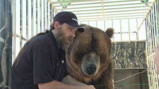 Celebrity Grizzly Brody The Bear Says Thanks To Nutramax Laboratories