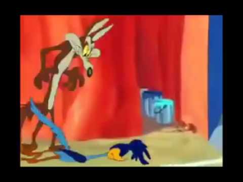 Finally Wile E Coyote Catches Road Runner