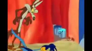 Finally Wile E Coyote Catches Road Runner