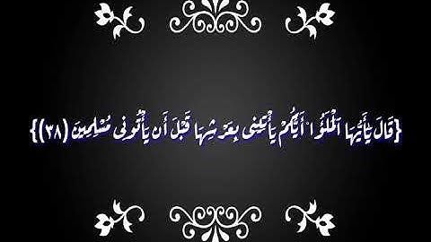 من سورة النمل يقرأ الشيخ محمد الهلباوي _ كرد ،  صبا زمزم