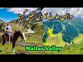 The Hidden Paradise in Gilgit Baltistan | The Naltar Valley