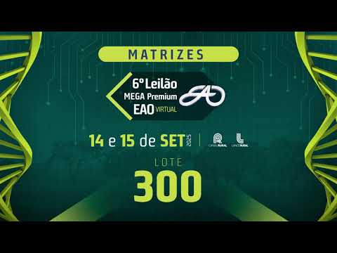 LOTE 300