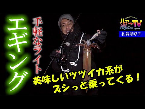 ライトエギングでケンサキイカ ヤリイカ 佐賀県呼子で春のイカ釣り Youtube