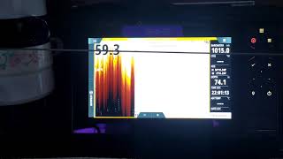 Simrad Bg Forward Scanner In Use. Full Sea Behaviour...