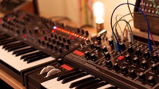 Matriarch vs. Pro 3 - Which paraphonic synth should you buy?