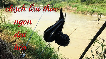 Thác Reo- Bình Thuận : Chạch Lấu, Cá Heo sông, cứ đi là có cá ngon mang về