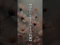 【誰からも愛される人の特徴】 #shorts #名言 #言霊 #引き寄せ #人生