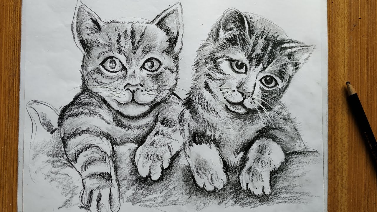  Cat Pencil Sketch Drawing for Kindergarten