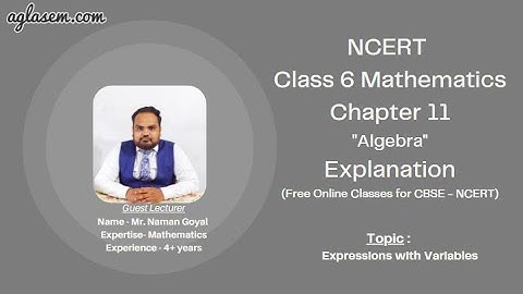 Class 6 Maths Chapter 11 Algebra (Expressions with Variables)