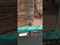 POV: You Do a Backflip