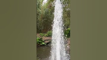 #foryou #استغفر_الله #حالات_واتساب #quran #تلاوة #قران_بصوت_جميل #سبحان_الله #اسلام_صبحى