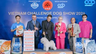 YANGYANG THE BICHON FRISE WINS THE VIETNAM CHALLENGE DOG SHOW 2024