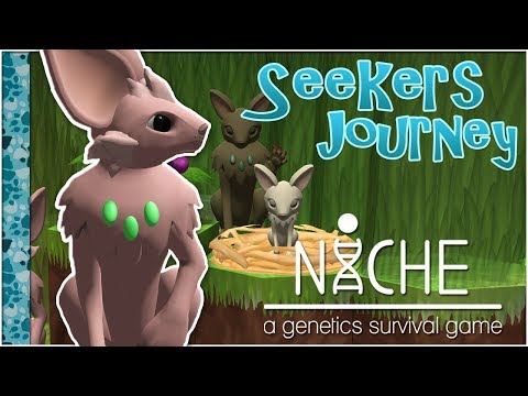 Beginning A Berry-Colored Love Story! • Niche: Seeker's Journey - Episode #1