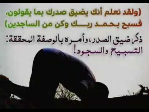 Sortie خط الموقع منقي ضيقة بالصدر بدون سبب Comertinsaat Com