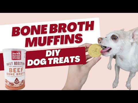 Video: DIY snuit-water geven Bacon Cheddar Doggy Muffins!