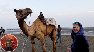 Bandar Abbas City Tour - Iran 2019