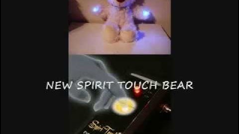 Spirit Touch Bear Trigger Object, ghost hunting, ghost hunting equipment