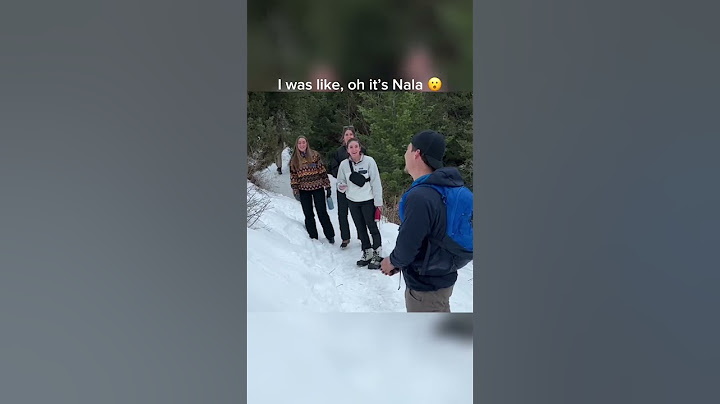 “Nala stomps” spotted on a random trail 🎥:@BrodieThatDood #goldenretriever  #dog