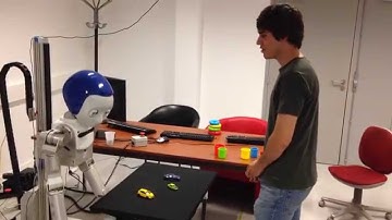 Multimodal concepts emergence for a humanoid robot in interaction with a human tutor