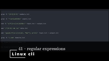 Linux CLI 41 🐧 regular expressions