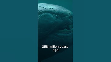 DUNKLEOSTEUS - Apex Predator of the Late Devonian