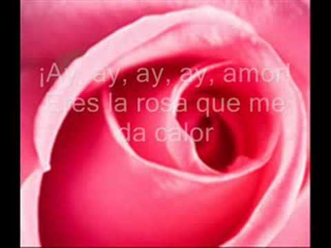 Juan Luis Guerra: TE REGALO UNA ROSA letra mix