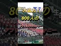 【大迫力】800人のアフリカンシンフォニー（甲子園ブラスバンドフェス2023）ショート
