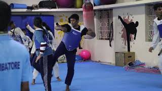 Martial Artstaekwondo Fight