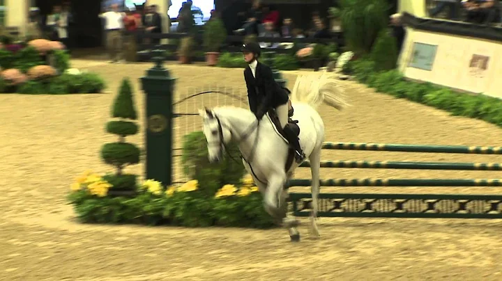 138 Allison Toffolon, Maclay Finals Final Work Off