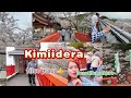 Kimiidera sakura pasyal napod ta dere guys 😀紀三井寺⛩️さくら満開🌸2024春