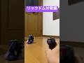 ガガンガンを改造してリック・ドムを作ってみた対戦編←こいつ…動くぞ！ #shorts #ガンダム #リックドムの日 #ガガンガン #作ってみた #動くリックドム