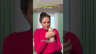 Арт вб на спрей для приучения к туалету: 453153131 ; арт вб на отпугивающий спрей: 453153129
