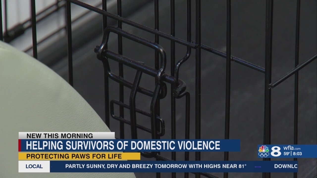 Helping domestic violence survivors and their pets escape abuse