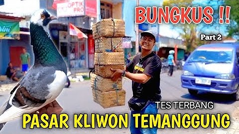 HUNTING MERPATI GIRINGAN DIPASAR KLIWON TEMANGGUNG MENYENANGKAN HATI DAPAT MERPATI CAKEP CAKEP PART2