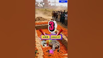 chúa hồi sinh #jesus #chuagiesu #amen #xuhướng #shortvideo #shorts #viral #viralvideo #bible #funny