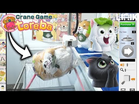TRYING TO WIN ON A JAPANESE CRANE GAME!! - Toreba Crane Game