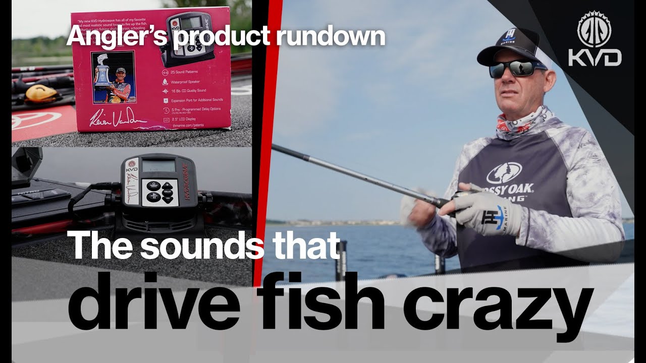 descriptive writing on a fishing pole sound Bass Elite Baitcaster Freshwater Rod Provides a comfortable and secure grip. Just getting into fishing? Heres