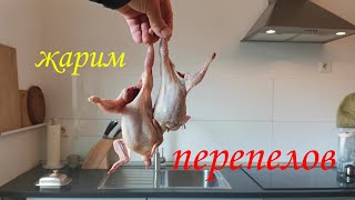 Перепела в духовке. Проще не бывает.