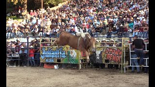 LOS DESTRUCTORES DE MEMO OCAMPO!!! JARIPEO EN LA CAÑADA MICHOACÁN 22 DICIEMBRE 2022