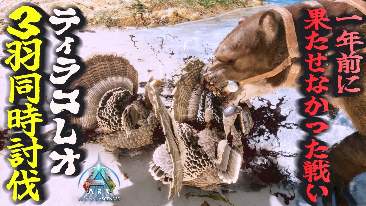 Defeat the Super Turkey with a bleeding attack! Compare the