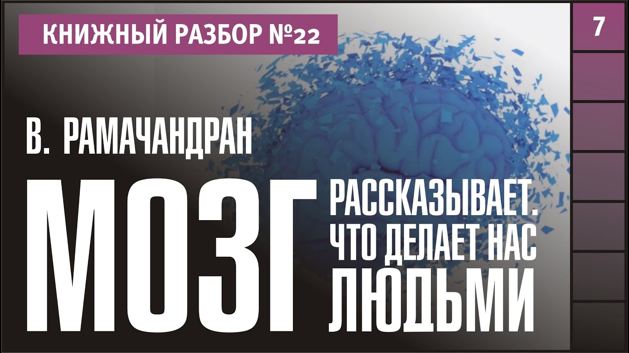 Книжный разбор 22 - "Мозг рассказывает. Что делает нас людьми ...